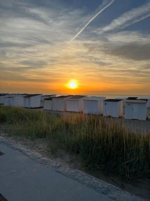 Vue Sur Dunes ! Sangatte Exteriér fotografie