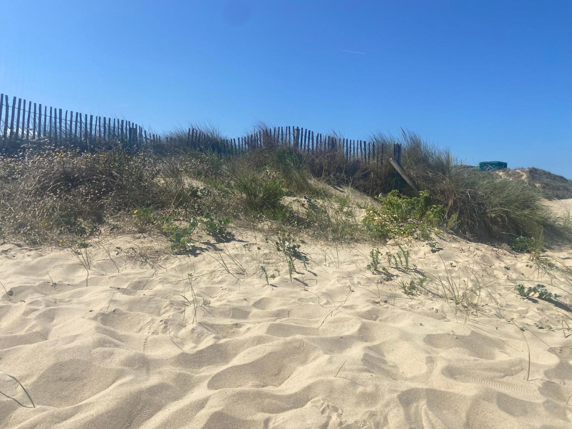 Vue Sur Dunes ! Sangatte Exteriér fotografie